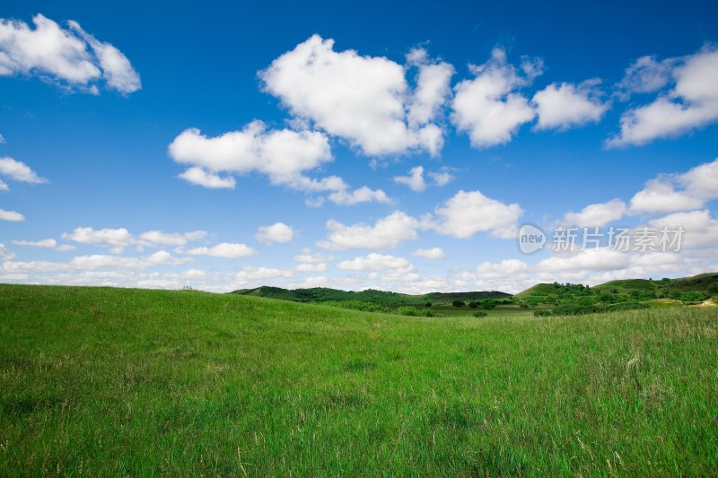 内蒙,坝上,乌兰木统,乌兰木统草原,红山,军马场,草原,草地,