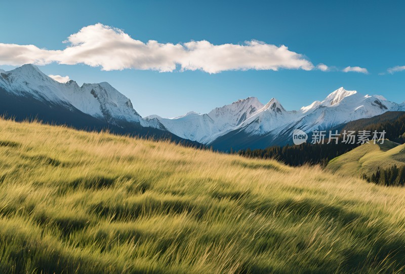 雪山高原草原森林风景