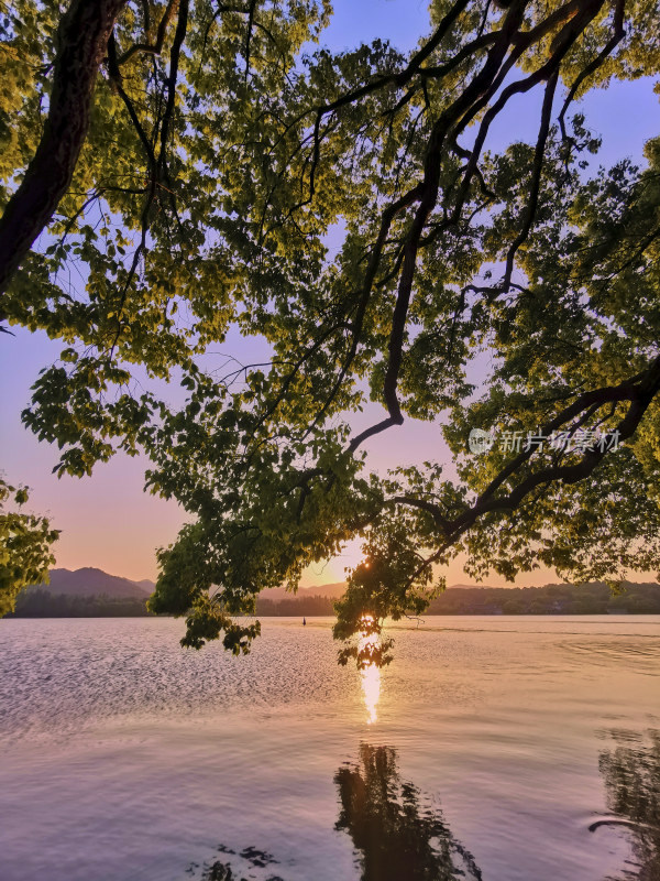 西湖的金色夕阳美景