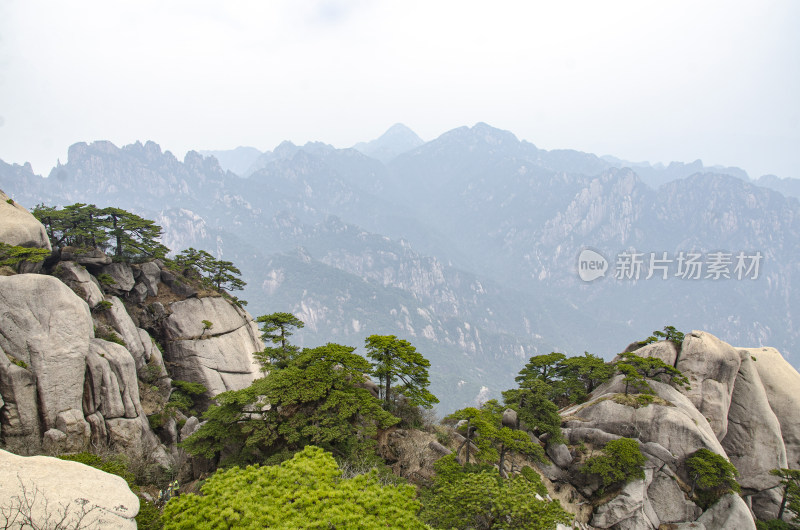 黄山松崖绝壁 险峻山峦 峰峦叠嶂