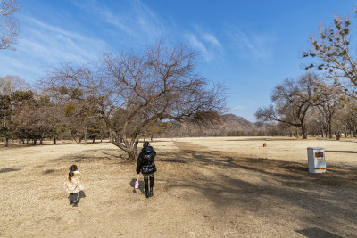 避暑山庄冬日的园林