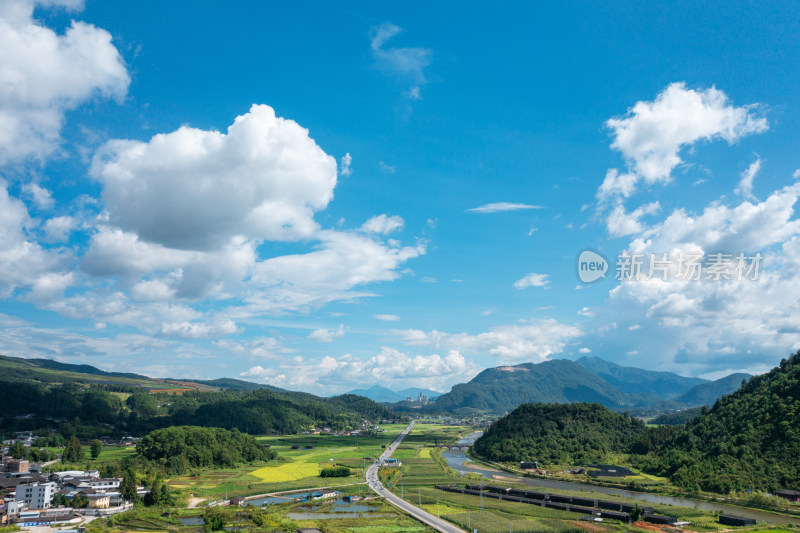 乡村稻田