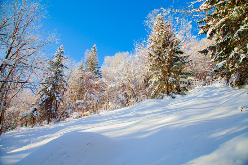 黑龙江 双峰林场 雪乡