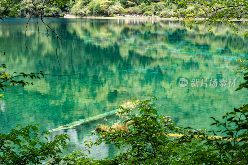 四川阿坝藏族羌族自治州九寨沟景区