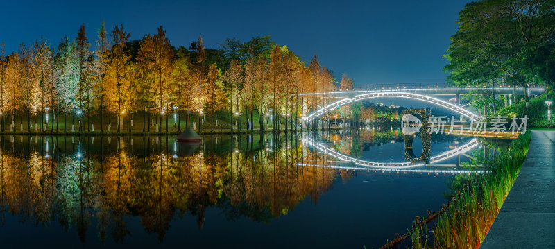 佛山千灯湖南海活水公园落羽杉夜景全景长图