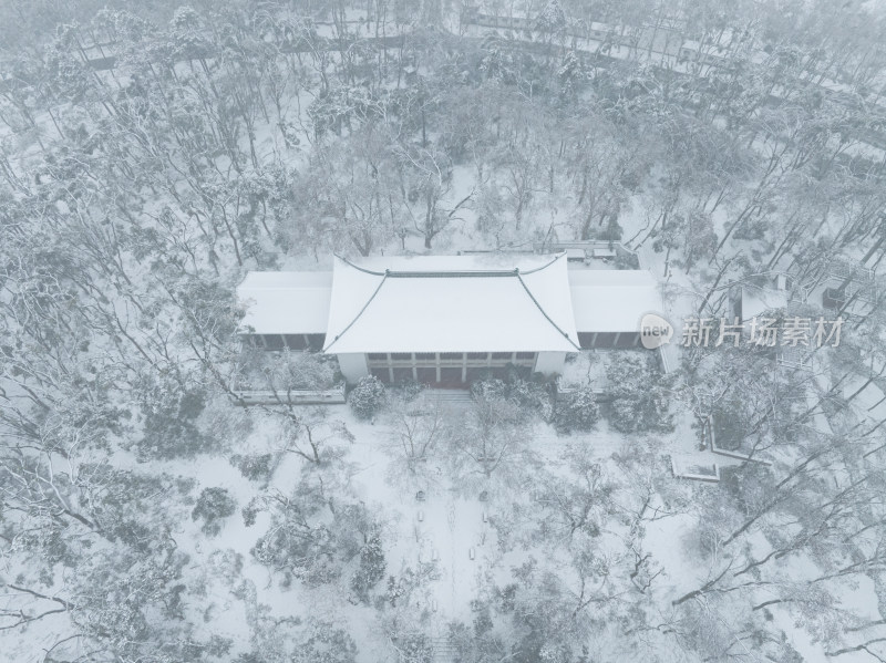 武汉东湖风景区雪景风光