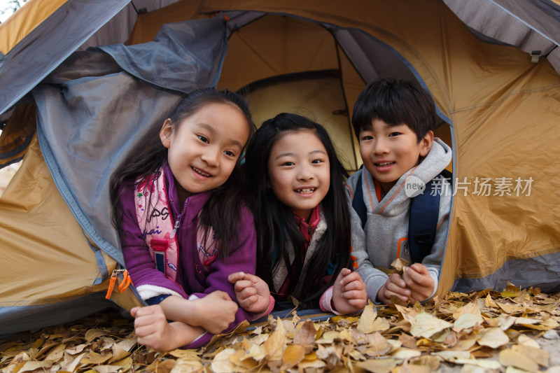 小学生在户外露营