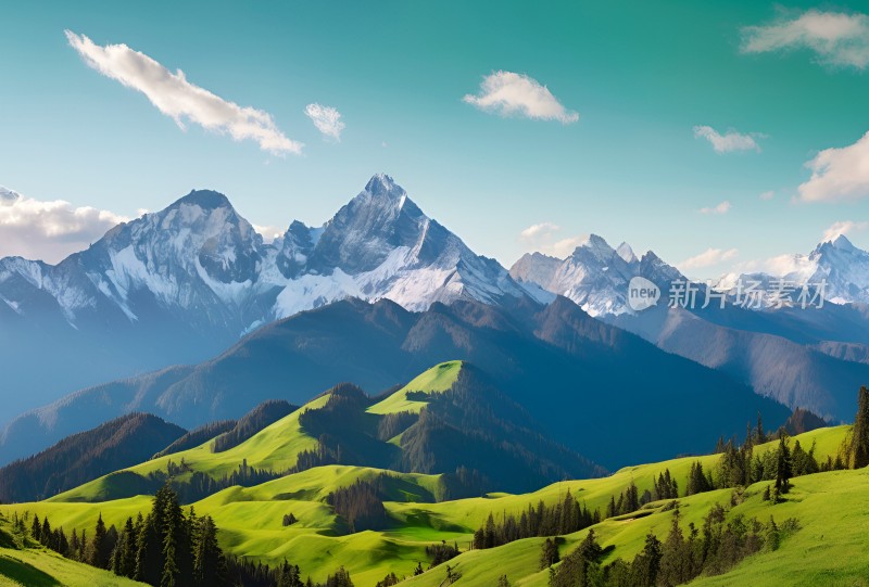 雪山草原森林风景