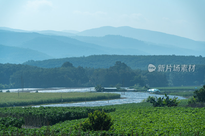 田野山脉远山