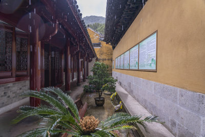 浙江普陀山大乘禅院