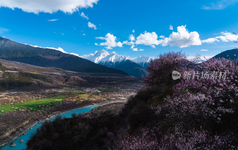 春天桃花盛开的雅鲁藏布大峡谷和多雄拉山