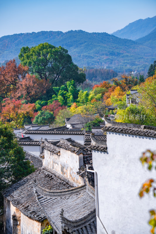 皖南秋色塔川国家森林公园