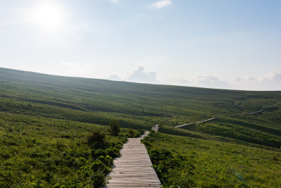 山西舜王坪户外草原风光