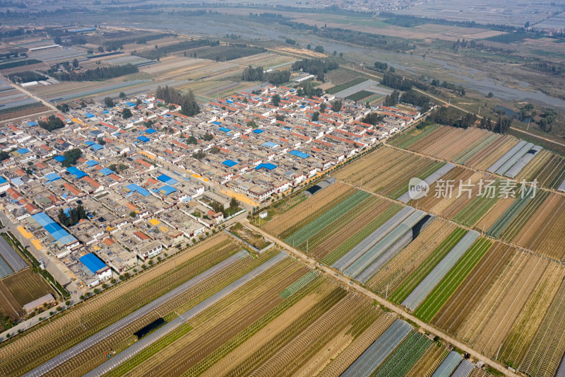 山东泰安乡村和大棚蔬菜基地航拍风光