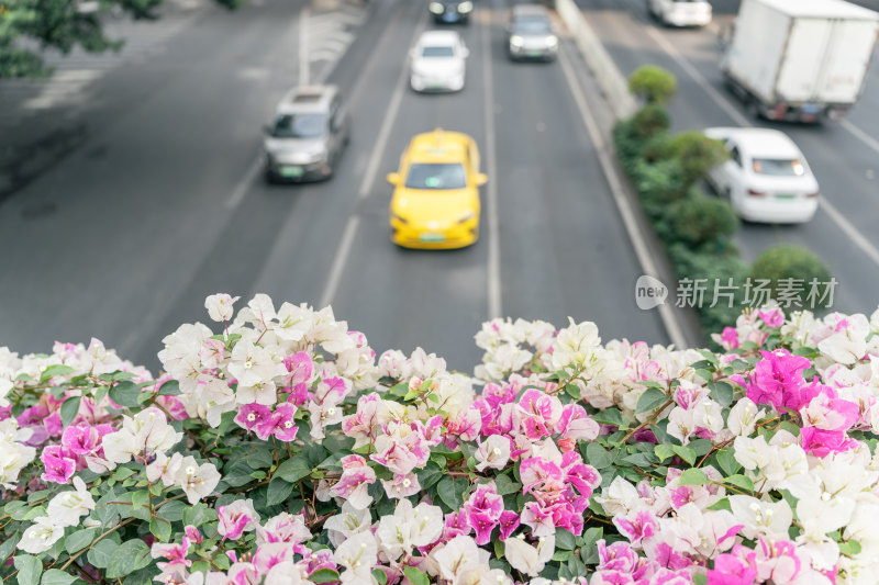 城市中鲜花覆盖的天桥景观