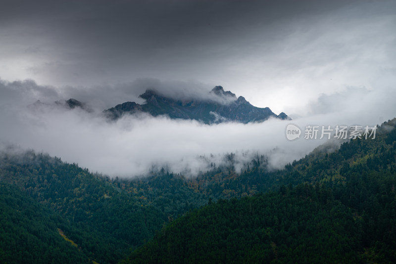 云雾中的森林山峰虎头山