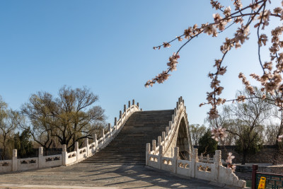 颐和园 北京春天 颐和园桃花