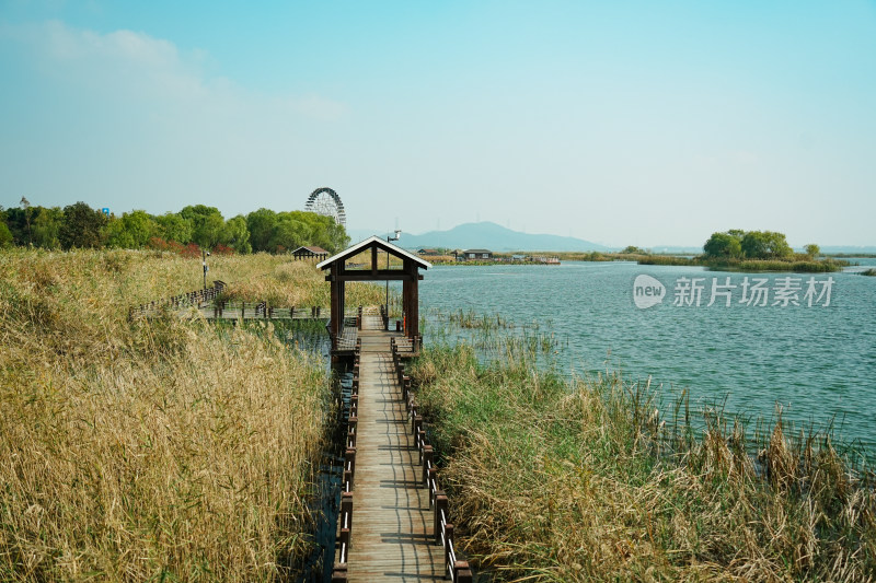 太湖湖滨国家湿地木栈道