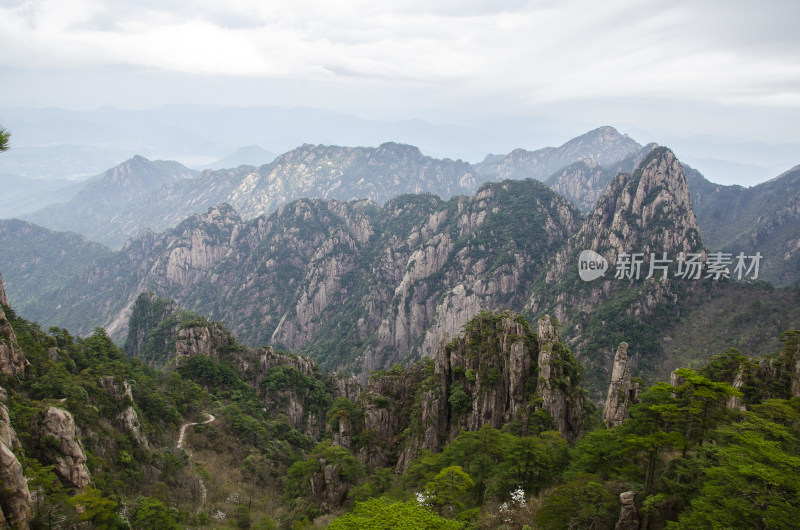 黄山松崖绝壁 奇松怪石 峰峦叠嶂