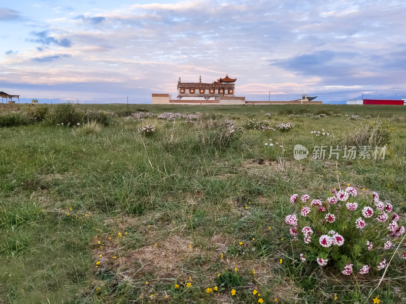 六月的青海湖风景