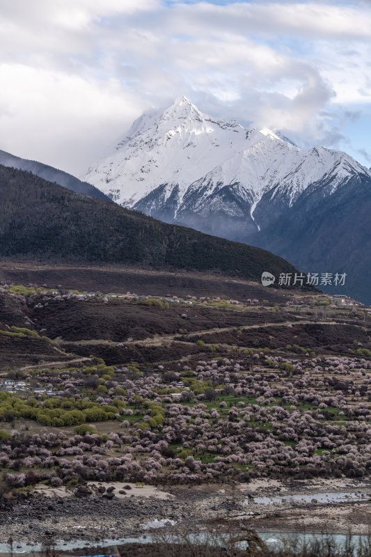 西藏林芝索松村南迦巴瓦峰雪山云海之巅