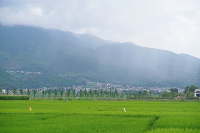 田野乡村与远山风景