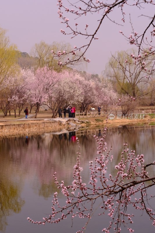 风景系列