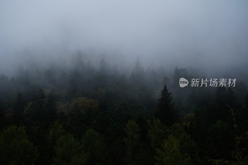 四川阿坝藏族羌族自治州黄龙风景区