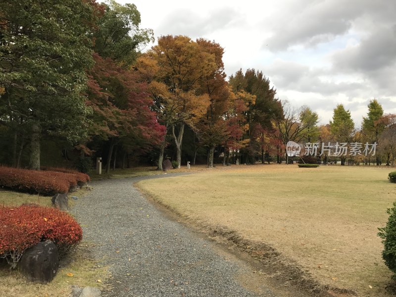 日本京都的秋色