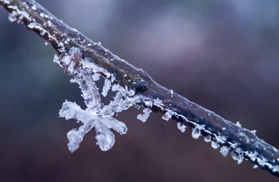 重庆酉阳：龙头山上冻雨“缀”美