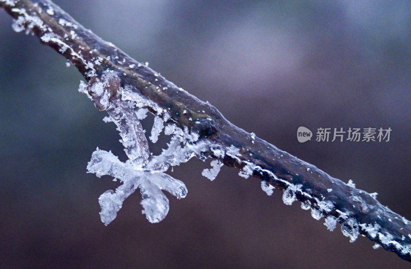 重庆酉阳：龙头山上冻雨“缀”美