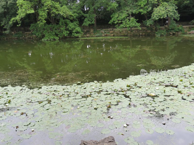 南京紫金山灵谷寺风景区