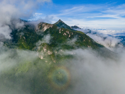 森林大山原生态云海航拍