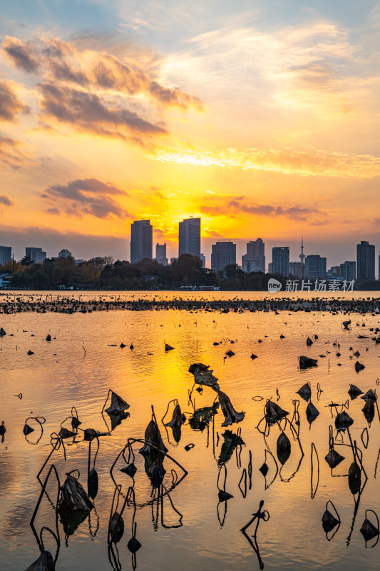 黄昏夕阳南京玄武湖城市建筑景观