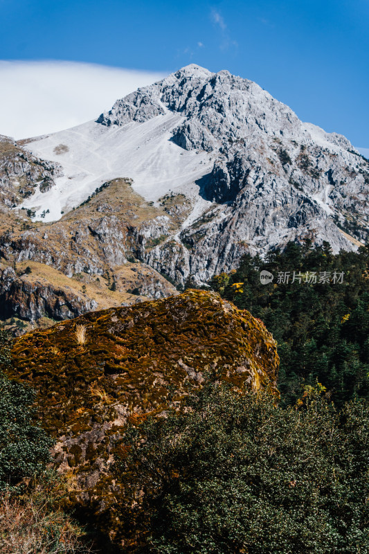 丽江玉龙雪山蚂蝗坝