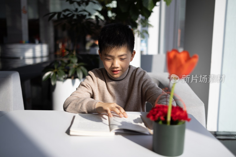正在看书的中国小男孩