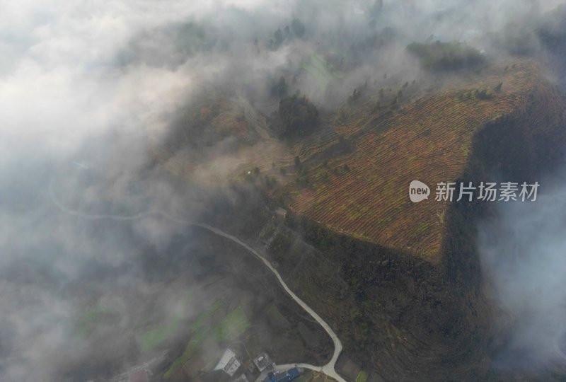 重庆酉阳：白絮下的村庄 别有一番冬韵