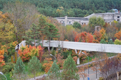 长白山，二道白河镇各个公园的秋天景色