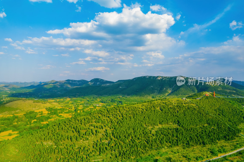 青山风景