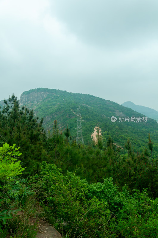 山中的自然风景