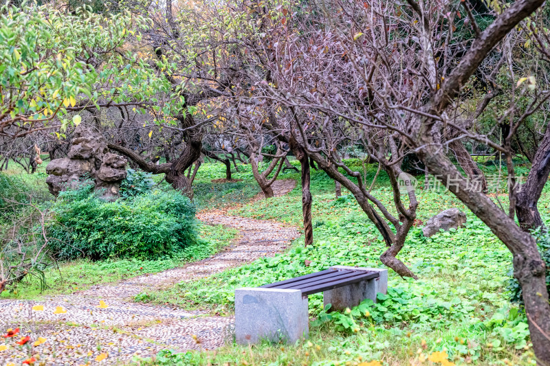 南京钟山风景名胜区明孝陵梅花山风景