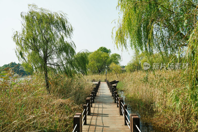 太湖湖滨国家湿地木栈道