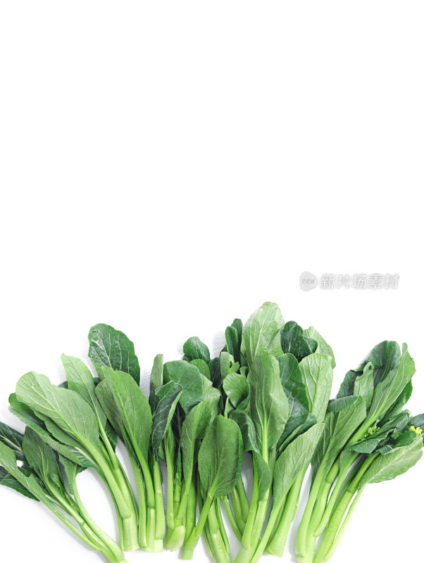 绿色蔬菜菜心青菜的白底图