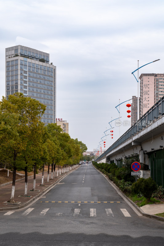 城市街道两旁绿树高楼的宁静景象