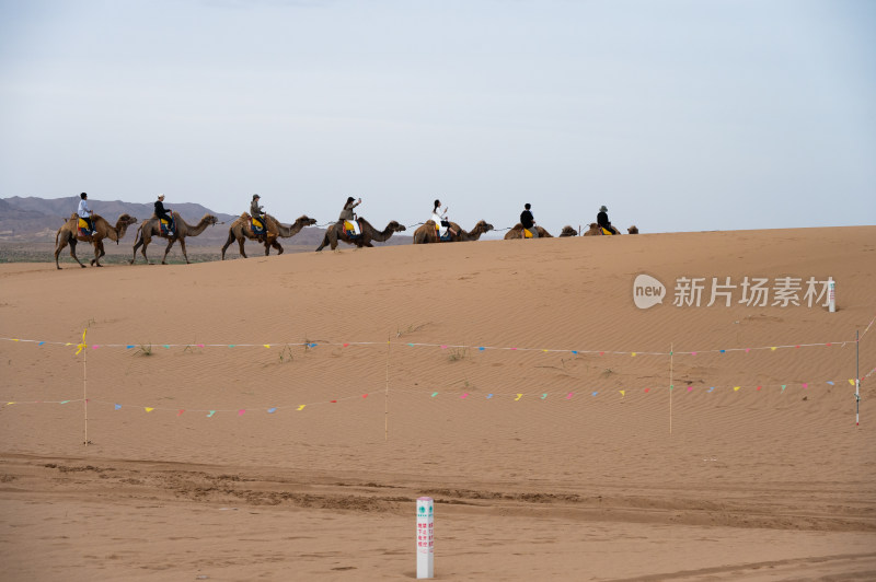 宁夏腾格里沙漠  中卫 阿拉善