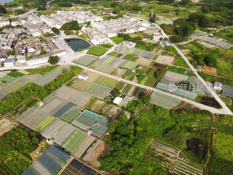 乡村农田航拍俯瞰图