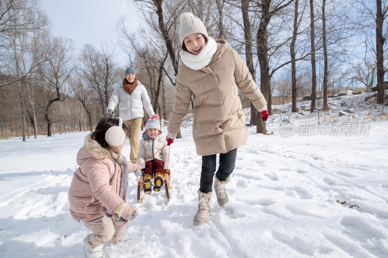 欢乐家庭在雪地上玩雪橇