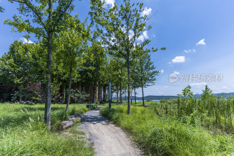 武汉洪山区万国公园风景