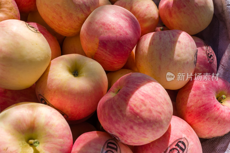 阳光粉红色SOD苹果美食水果农业种植丰收