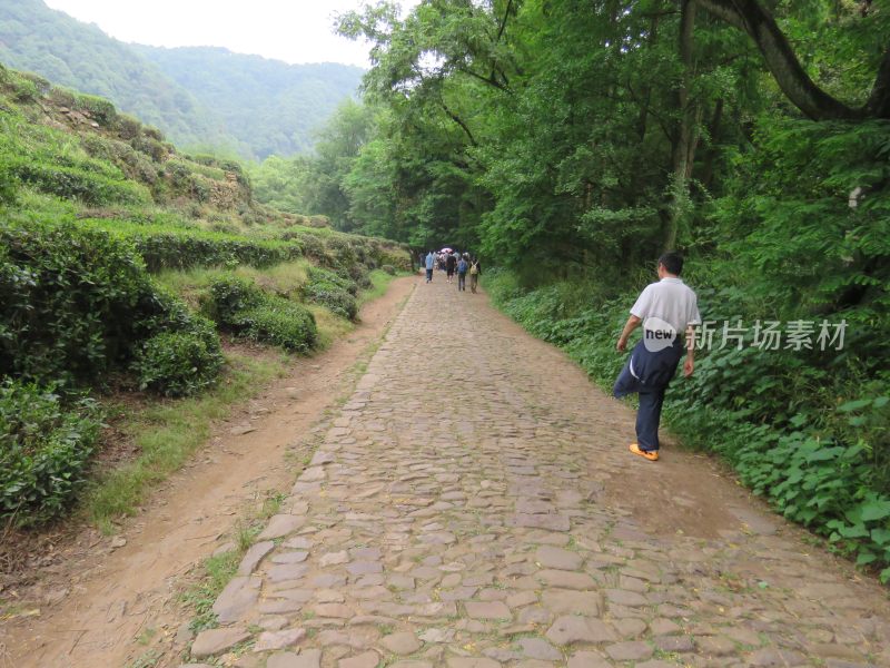 杭州九溪烟树景区